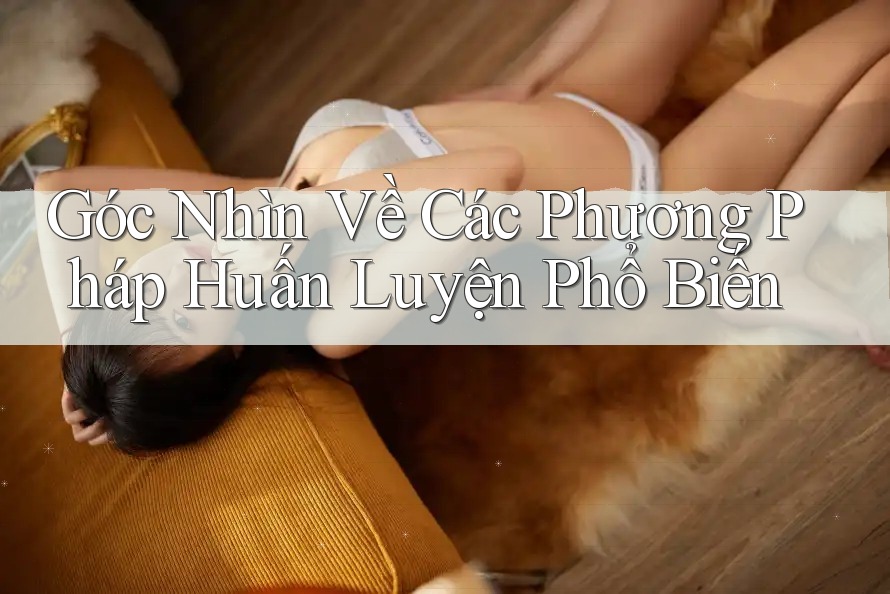 Góc Nhìn Về Các Phương Pháp Huấn Luyện Phổ Biến Góc Nhìn Về Các Phương Pháp Huấn Luyện Phổ Biến