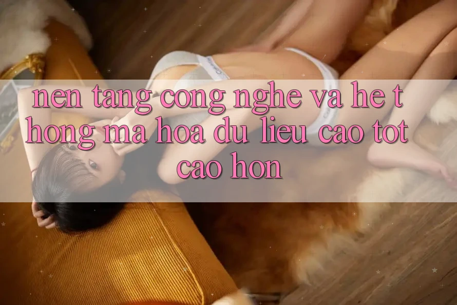 Nền Tảng Công Nghệ Và Hệ Thống Mã hóa dữ liệu Cao tốt cao hơn Nền Tảng Công Nghệ Và Hệ Thống Mã hóa dữ liệu Cao tốt cao hơn