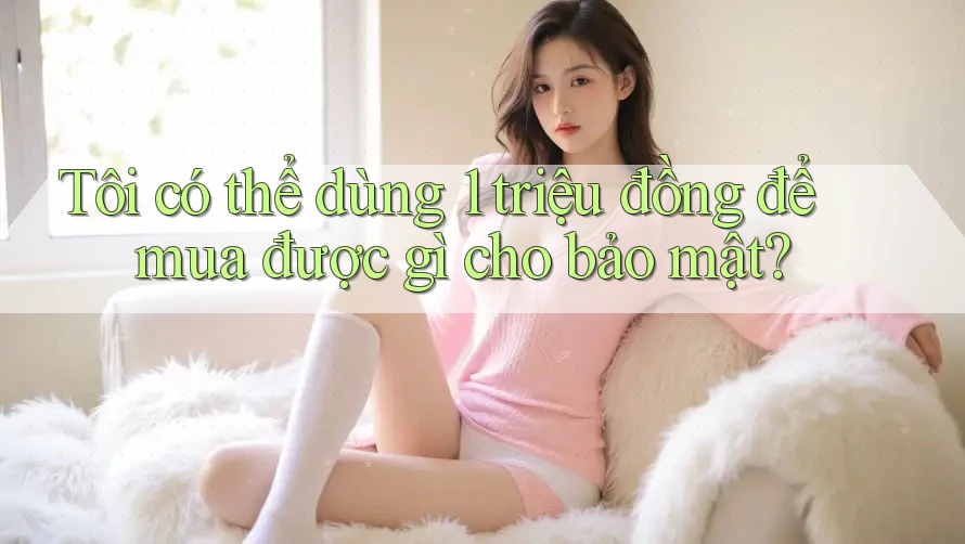 Tôi có thể dùng 1 triệu đồng để mua được gì cho bảo mật?